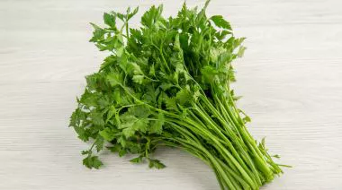 garnishing-instructions-image